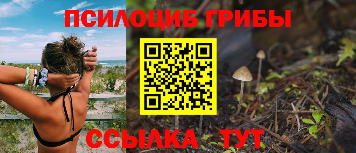 Щёлково  Галлюциногенные грибы Psilocybe  закладка  Вход с VPN 